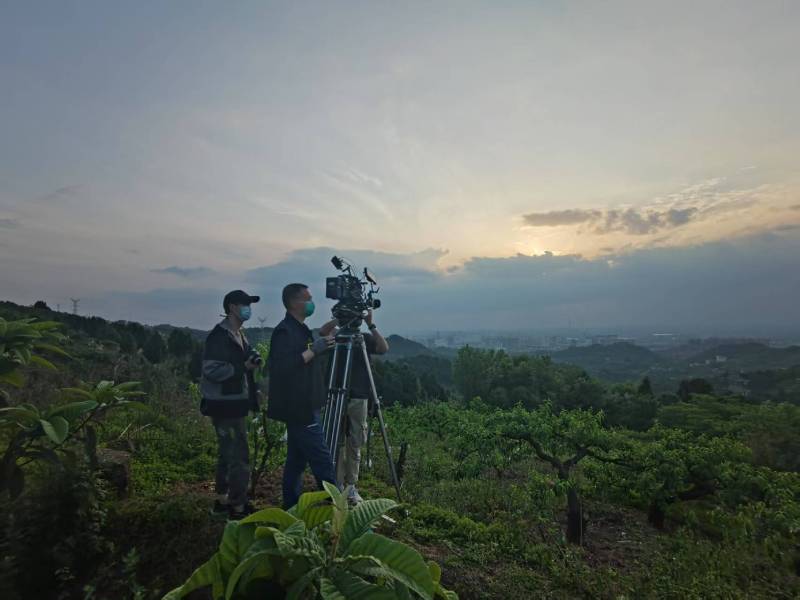 创意破圈！涟水县电商产品宣传视频用故事化叙事引爆流量