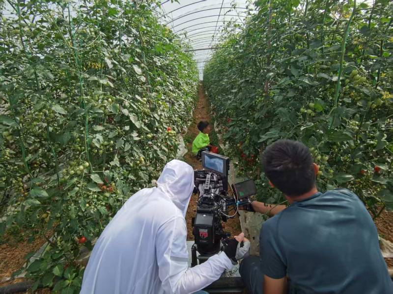 涟水县产品宣传视频拍摄公司进阶指南，助力品牌抢占传播高地